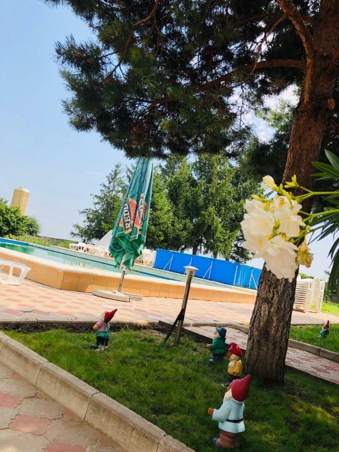 Pensiunea Paradis Vrancean Cotesti (Vrancea) Exterior photo