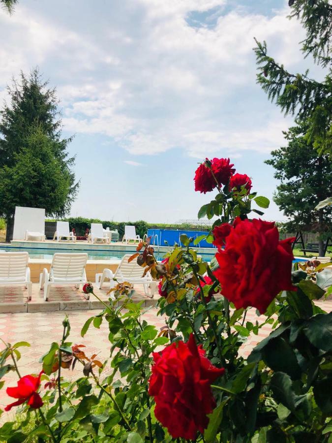 Pensiunea Paradis Vrancean Cotesti (Vrancea) Exterior photo